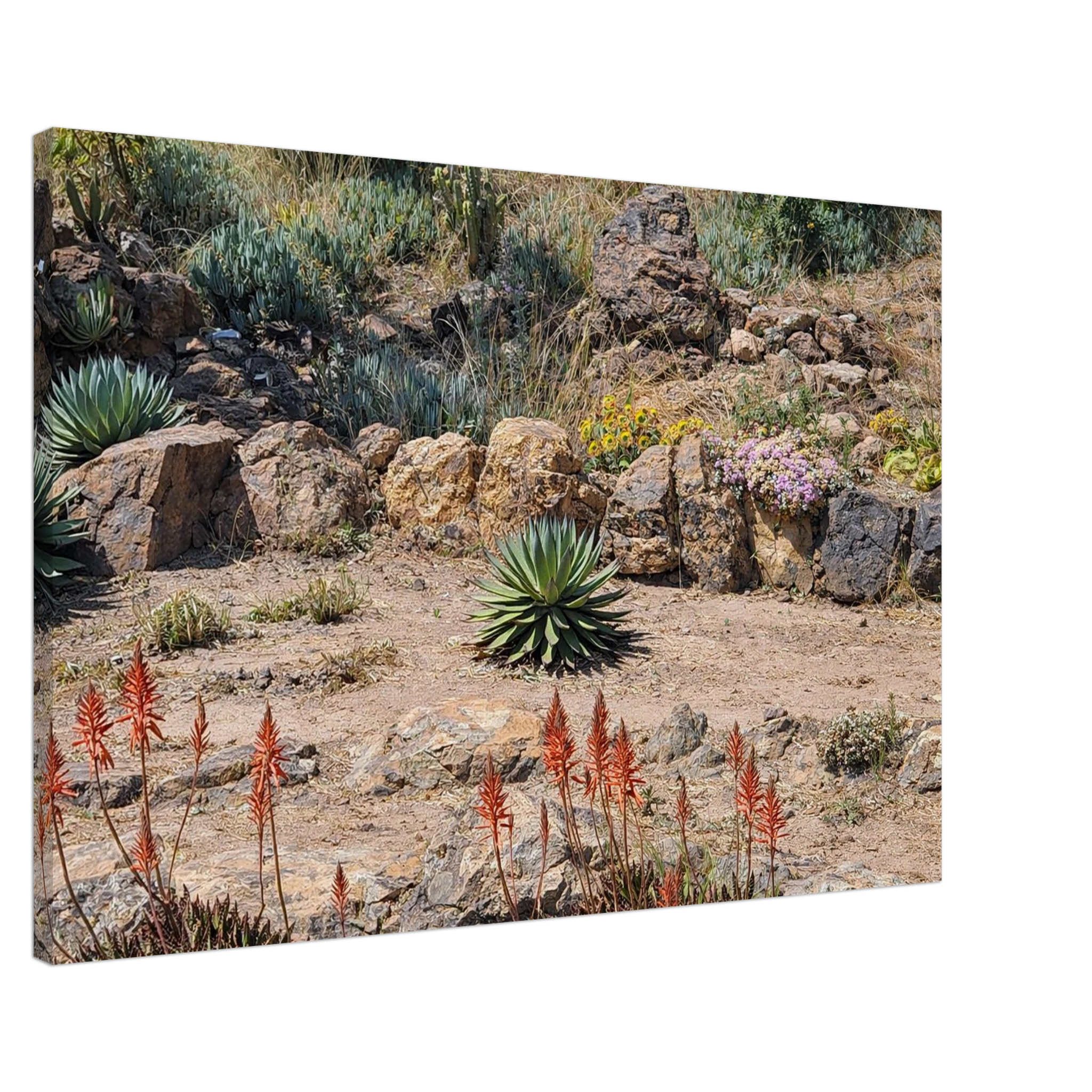 302f5e01-ad28-4d19-b6f0-0b0ebe8811dc