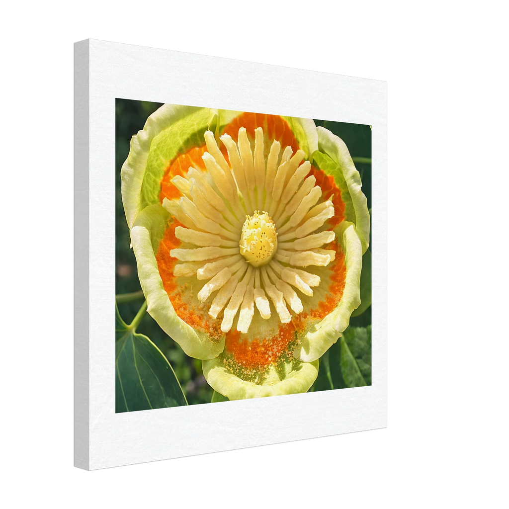 42874733-5e51-41ec-b85a-3ab33a8f29ea