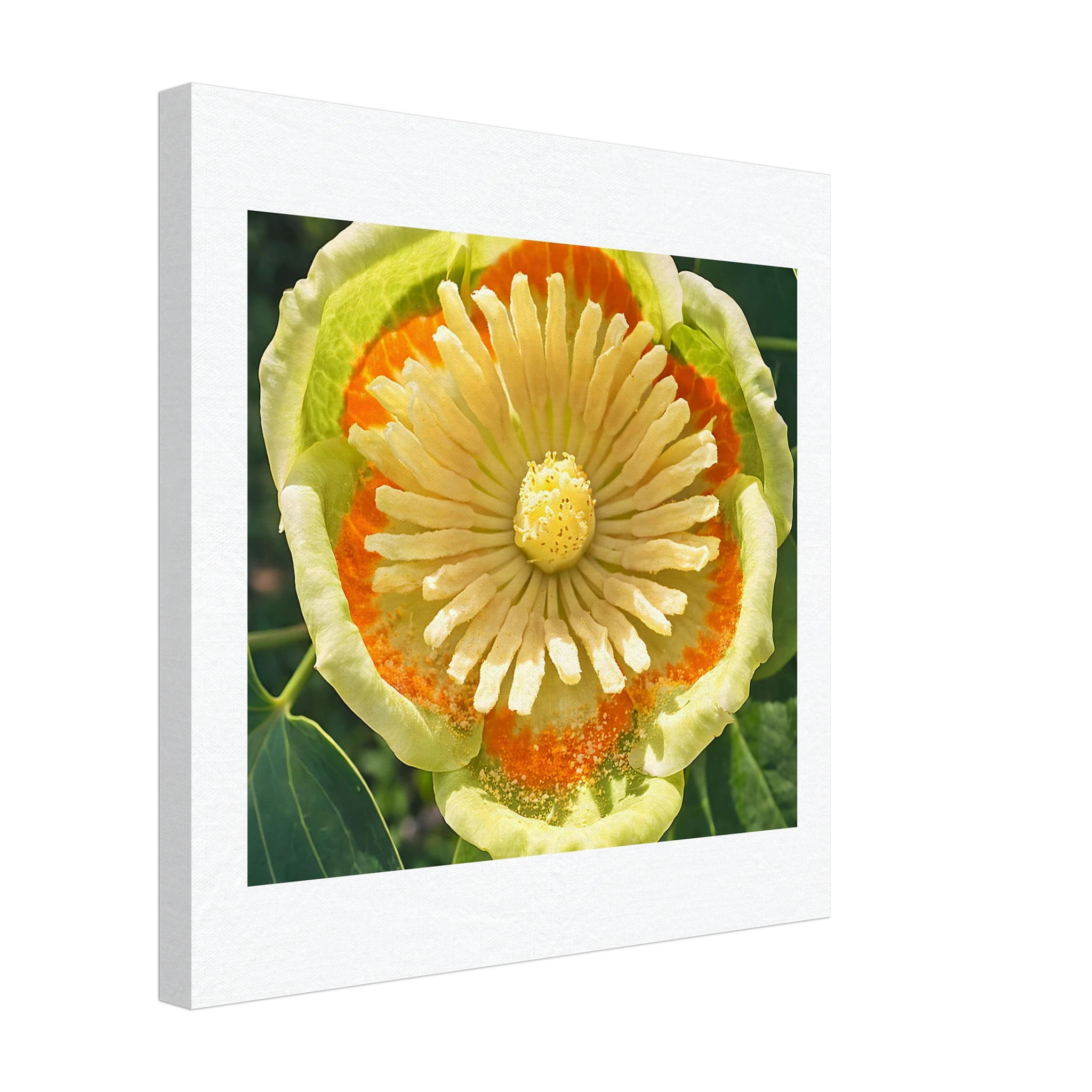 42874733-5e51-41ec-b85a-3ab33a8f29ea