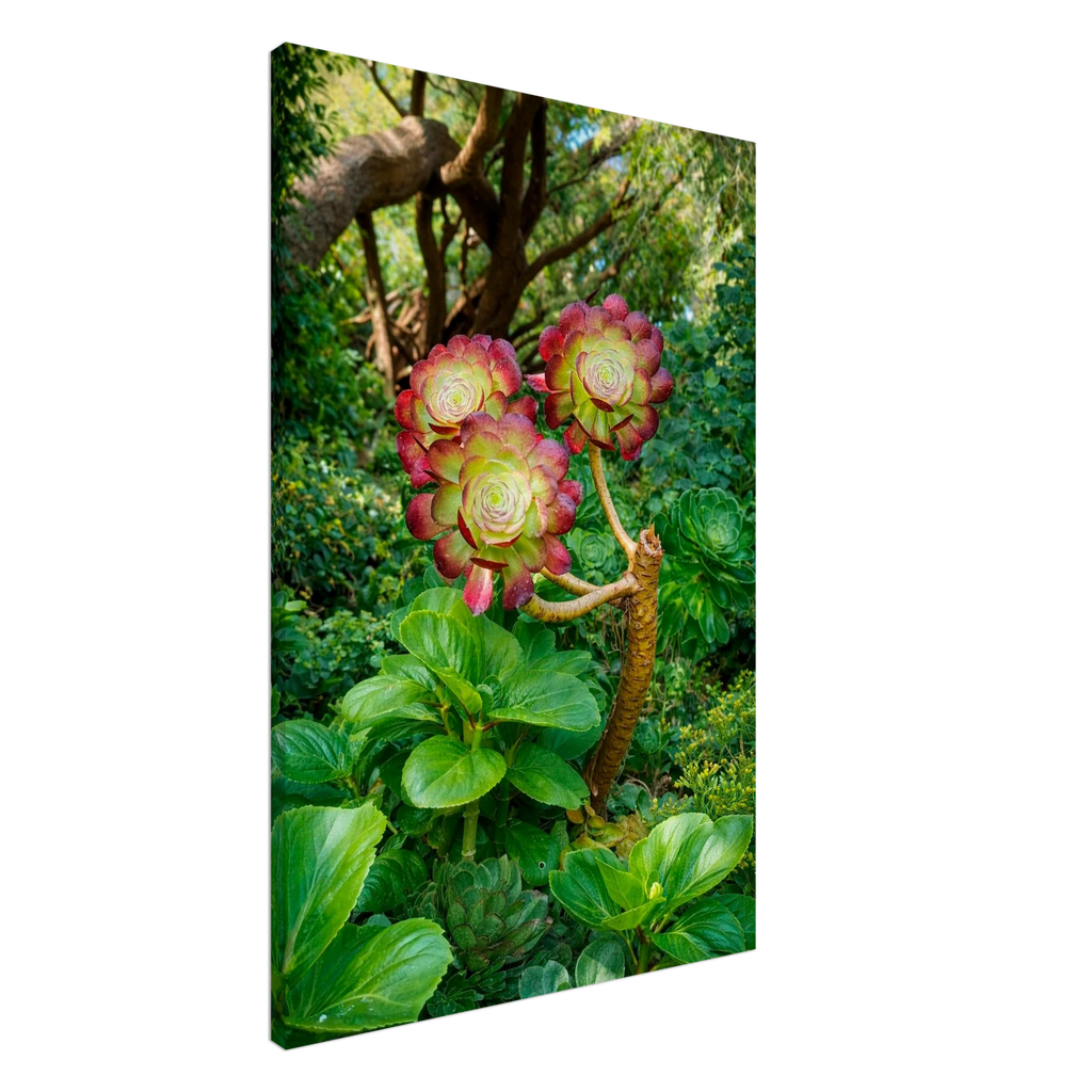 44eb4d34-c20b-4c6c-b04b-8e12aecd3457