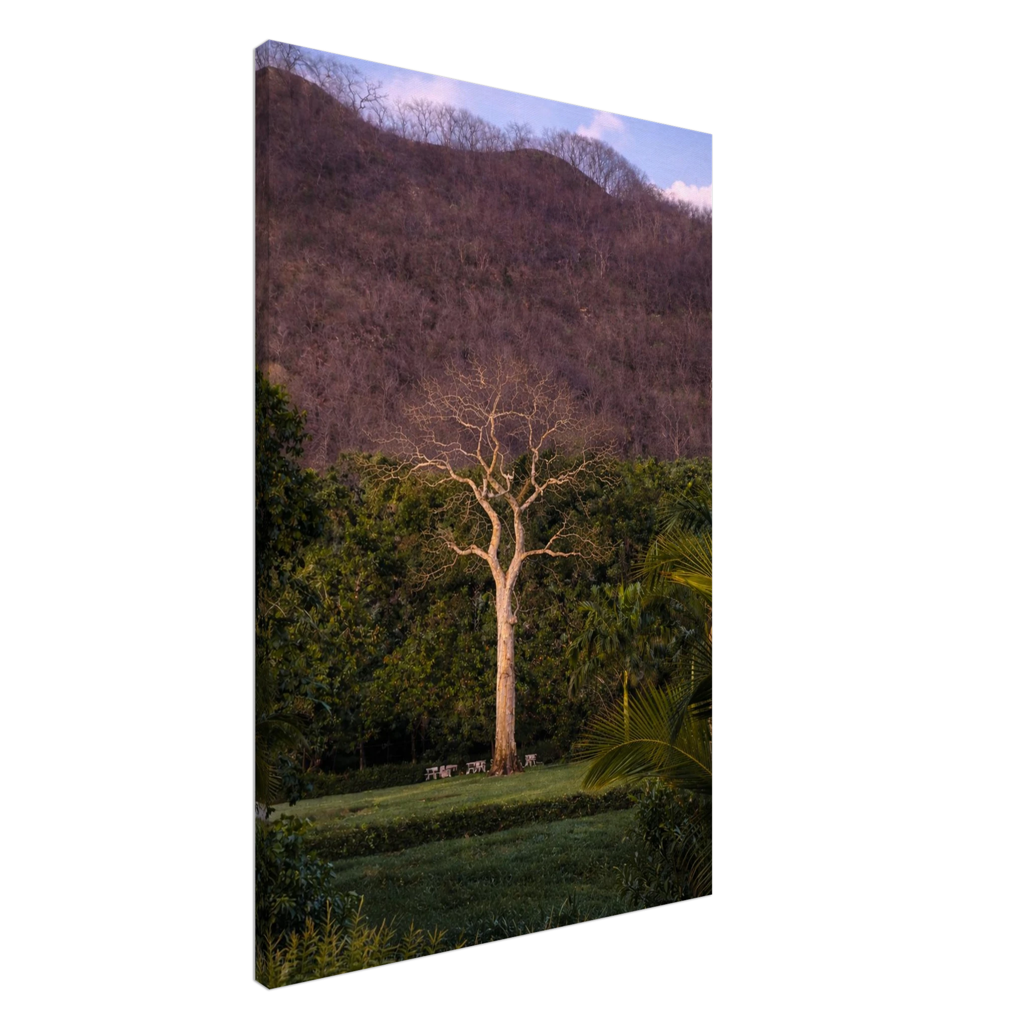 4985aba9-4aeb-4126-8898-e721c9ab6b19