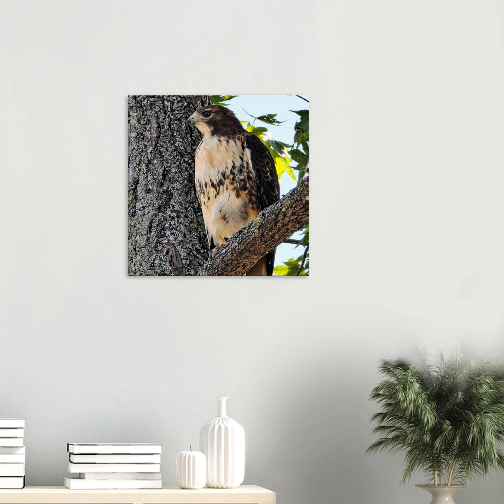 4add2acb-b39c-447d-a701-2759f1643869