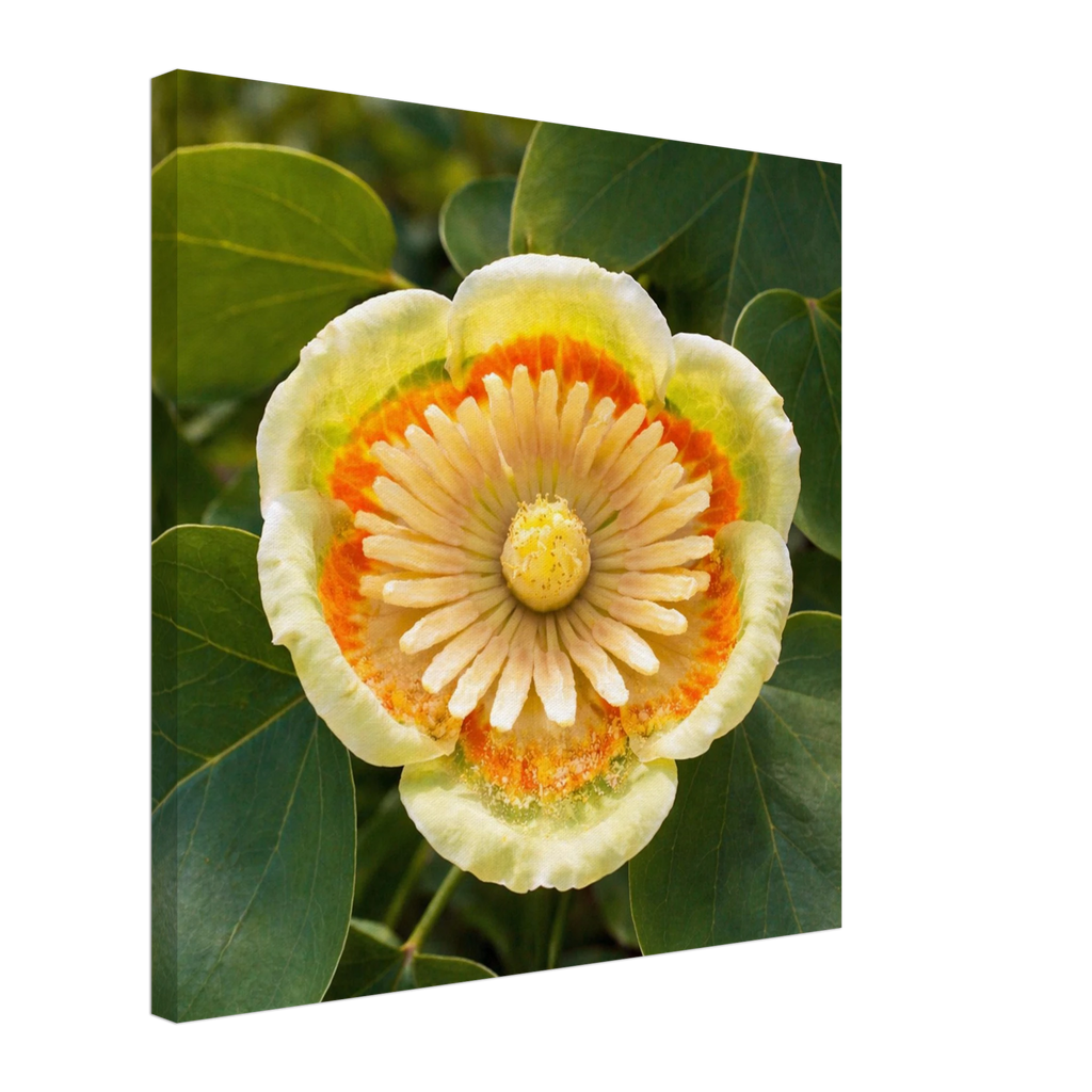 534f871a-846b-41fe-9cee-b5599e951ad8