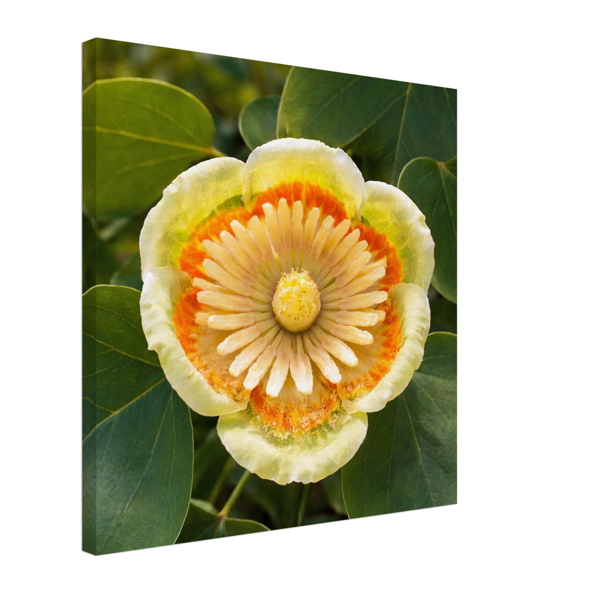 534f871a-846b-41fe-9cee-b5599e951ad8