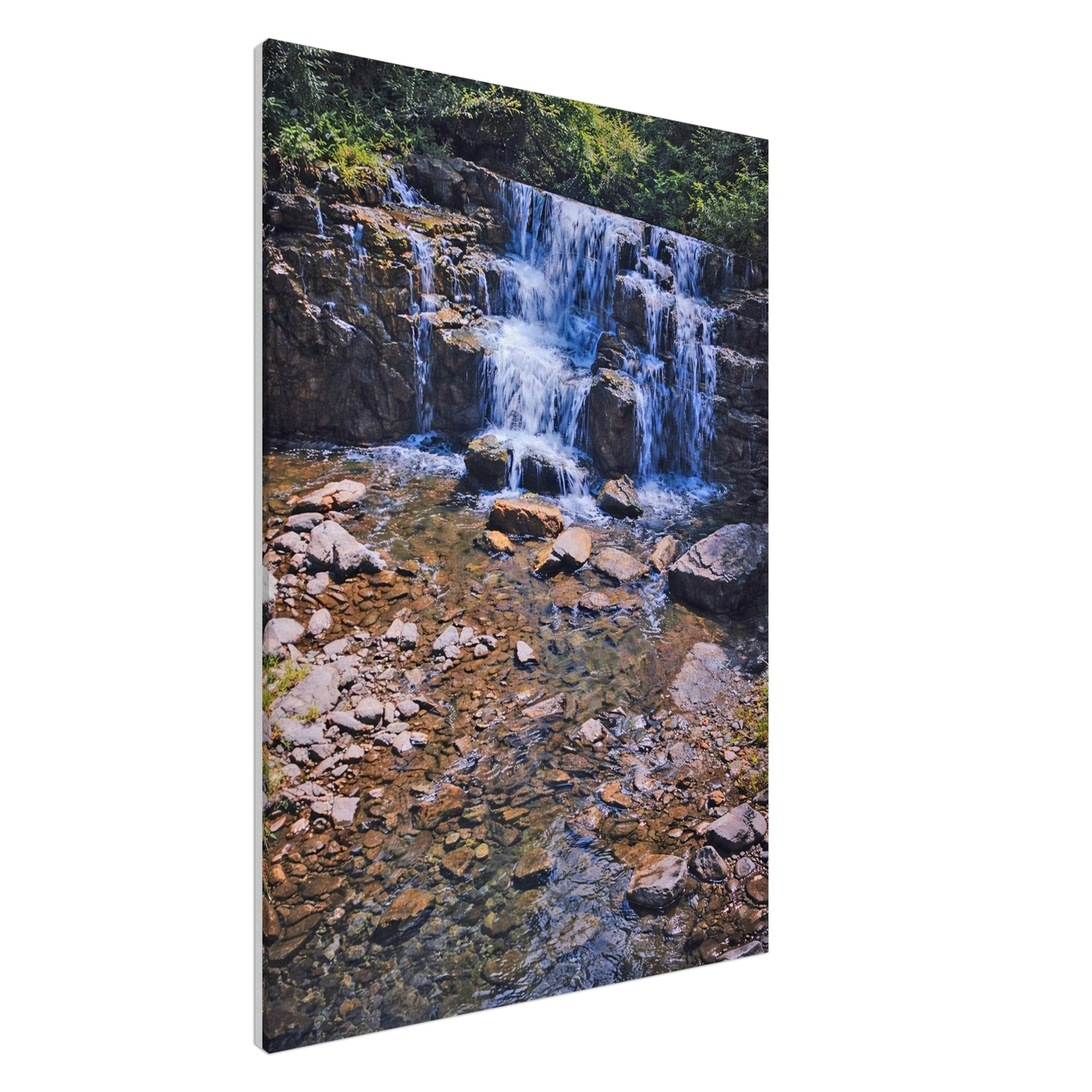 8440e551-9617-4b3a-ba5a-ed5114a1fd4b