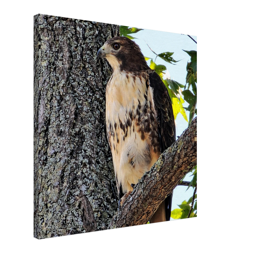 97bb009c-3634-45f5-affa-64850b80c21a