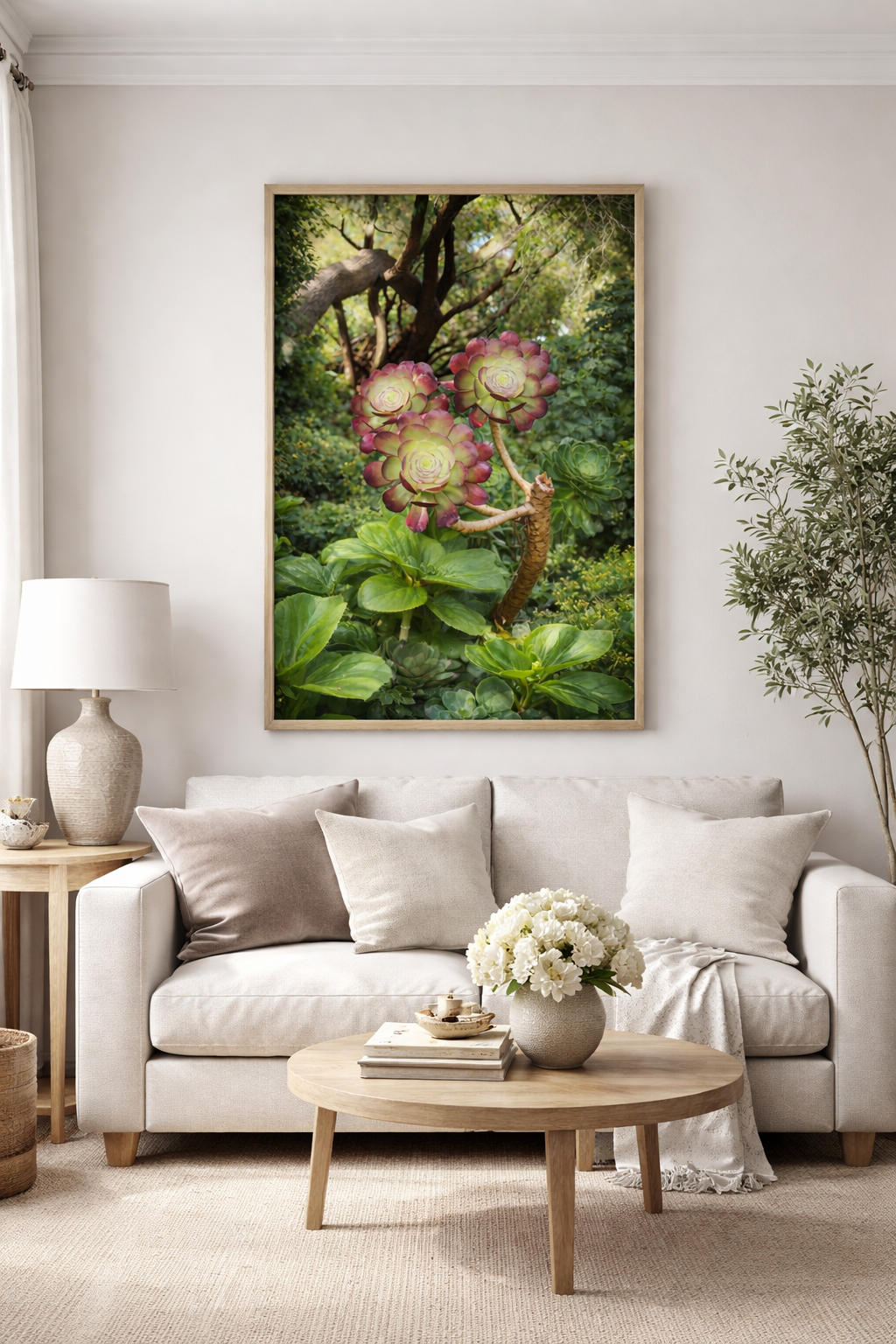Canvas Print - The Aeonium Rosette, Quiet Architecture of Nature
