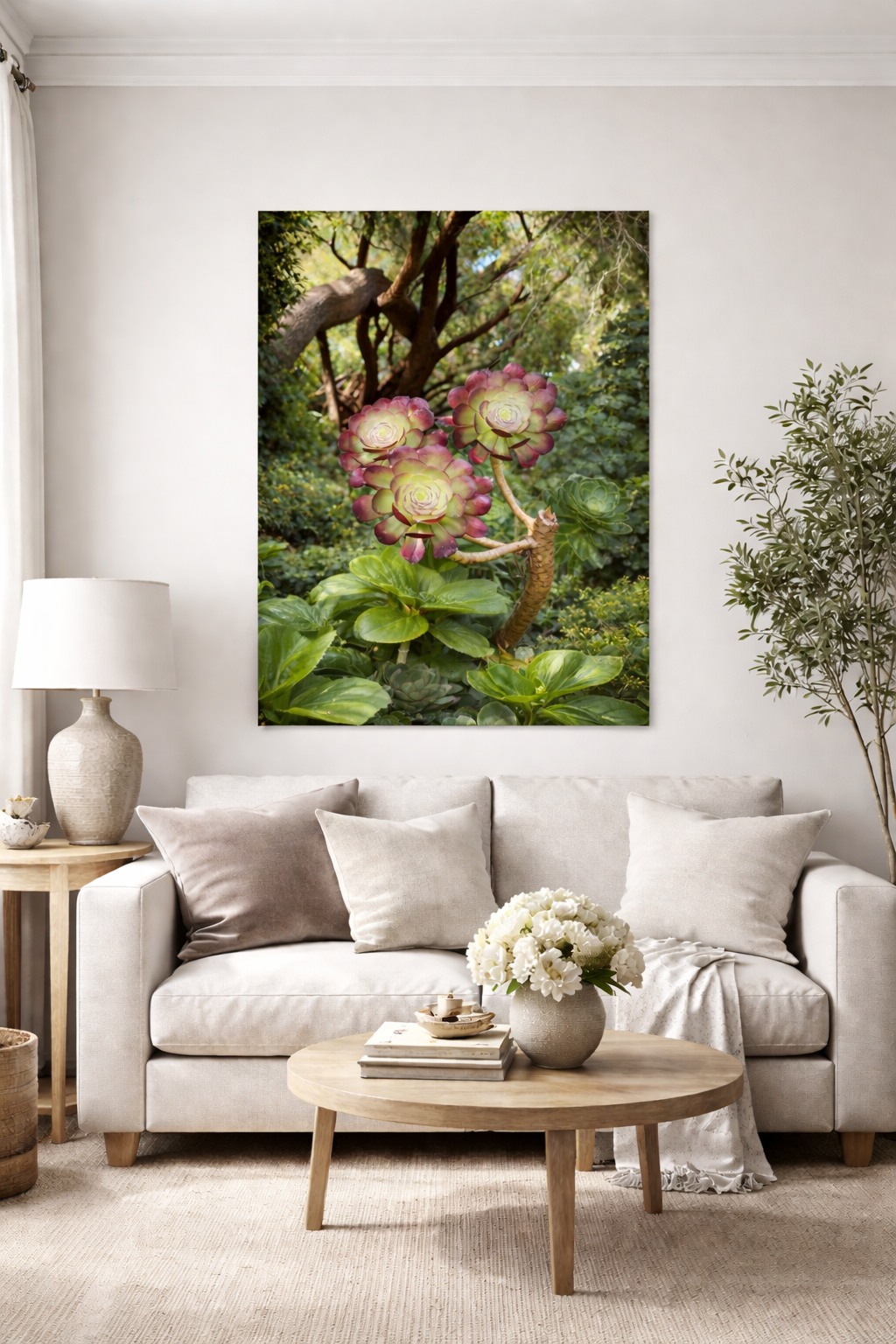 Canvas Print - The Aeonium Rosette, Quiet Architecture of Nature