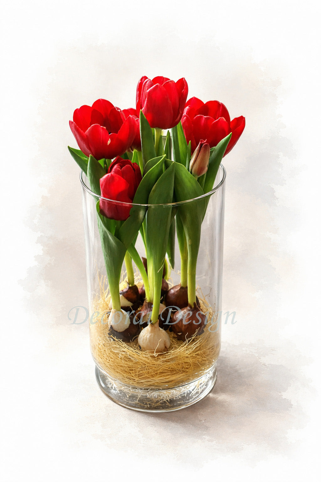 Digital Artwork Print - Before Dawn, Red Tulips on White Canvas - Botanical Still Life