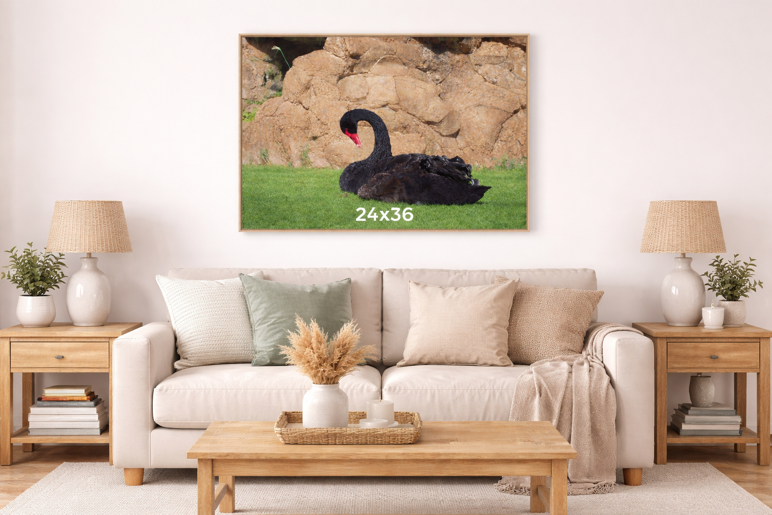 Elegant Black Swan in Repose — Wildlife Nature Portrait — Unframed Canvas Print