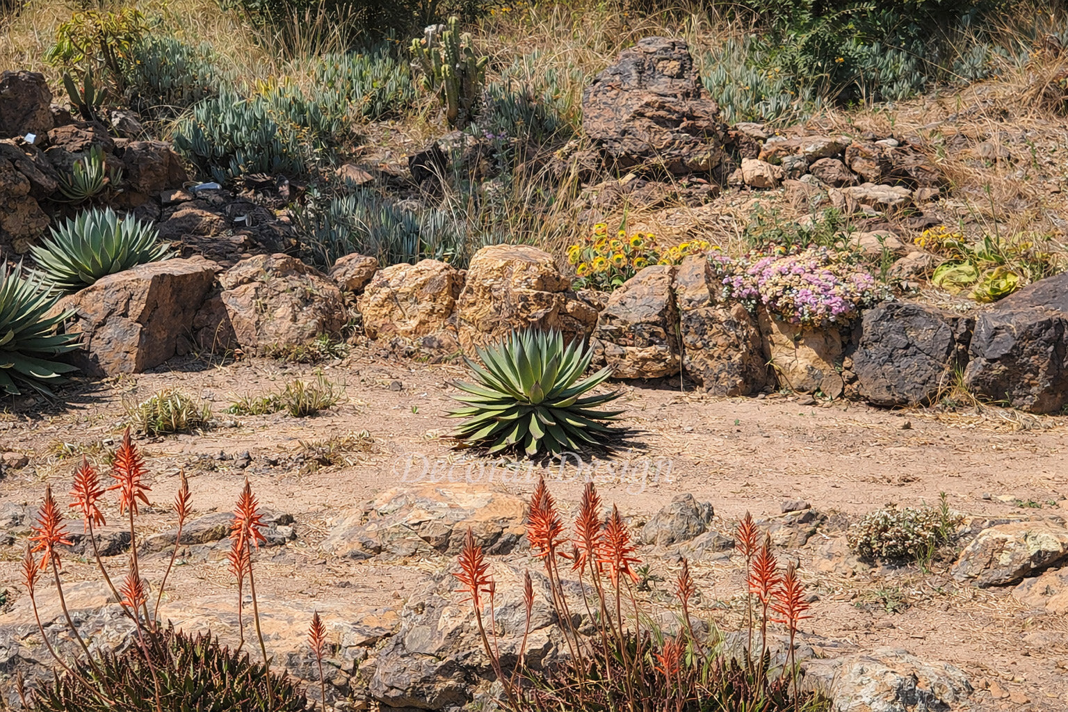 Desert Botanical - Agave & Aloe Landscape Art - Unframed Canvas Print