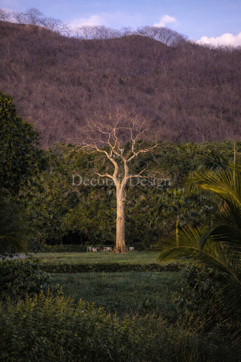 a1efb482-9bdc-492d-bb90-33e683ecbbef