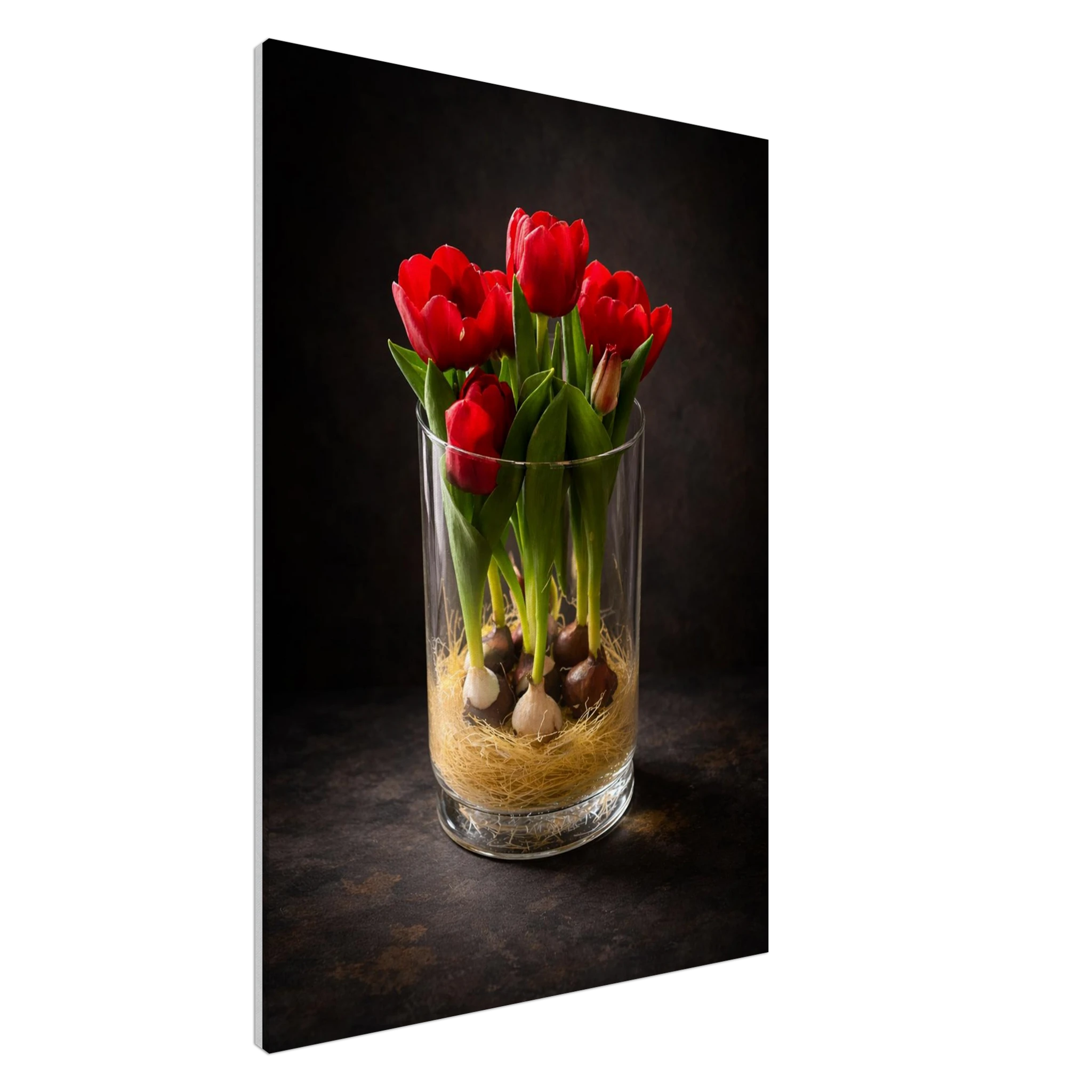 a2dce0a4-ba76-4ba2-b6eb-1030c38b6041