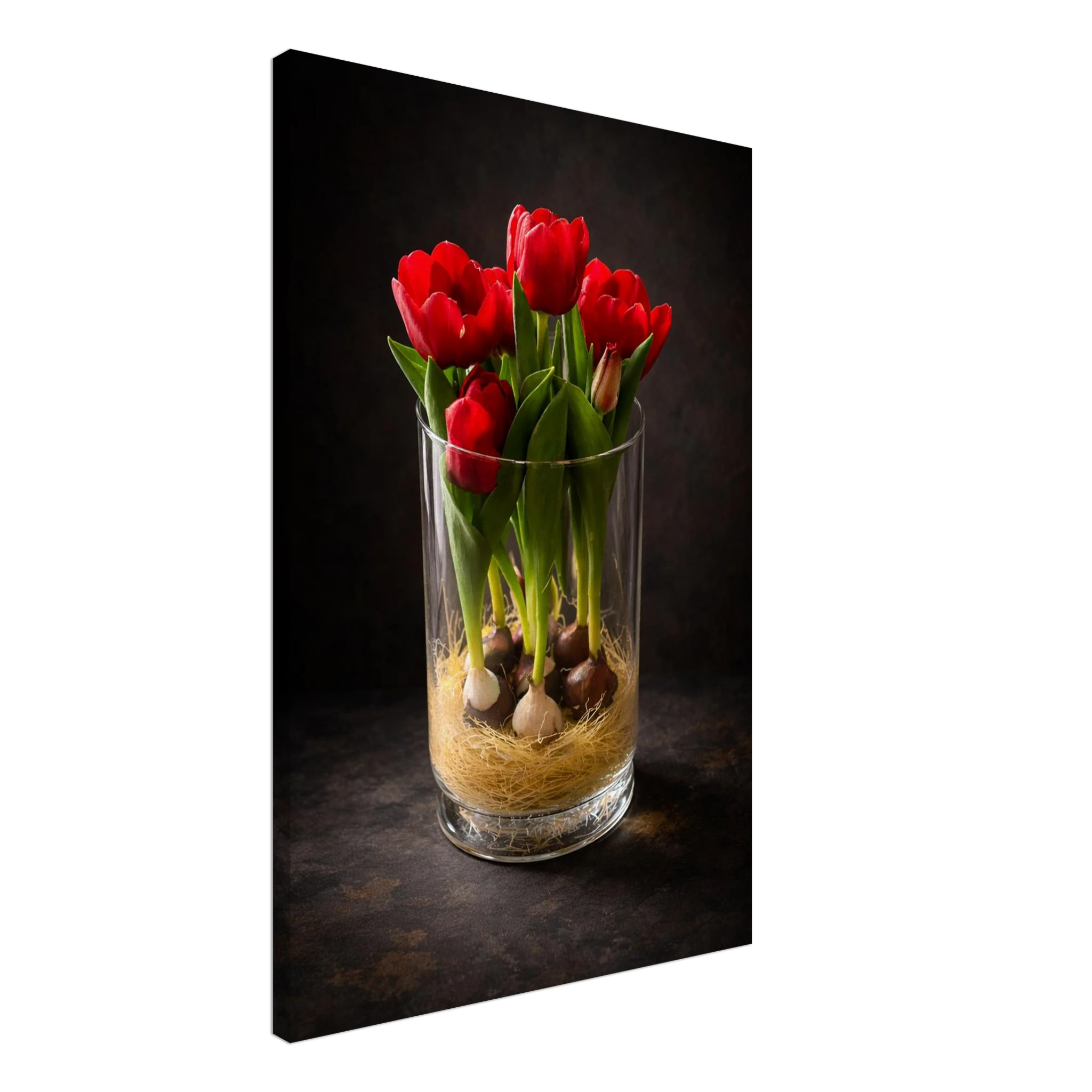 e486965d-1d61-4e47-8cb9-13f517a874c3