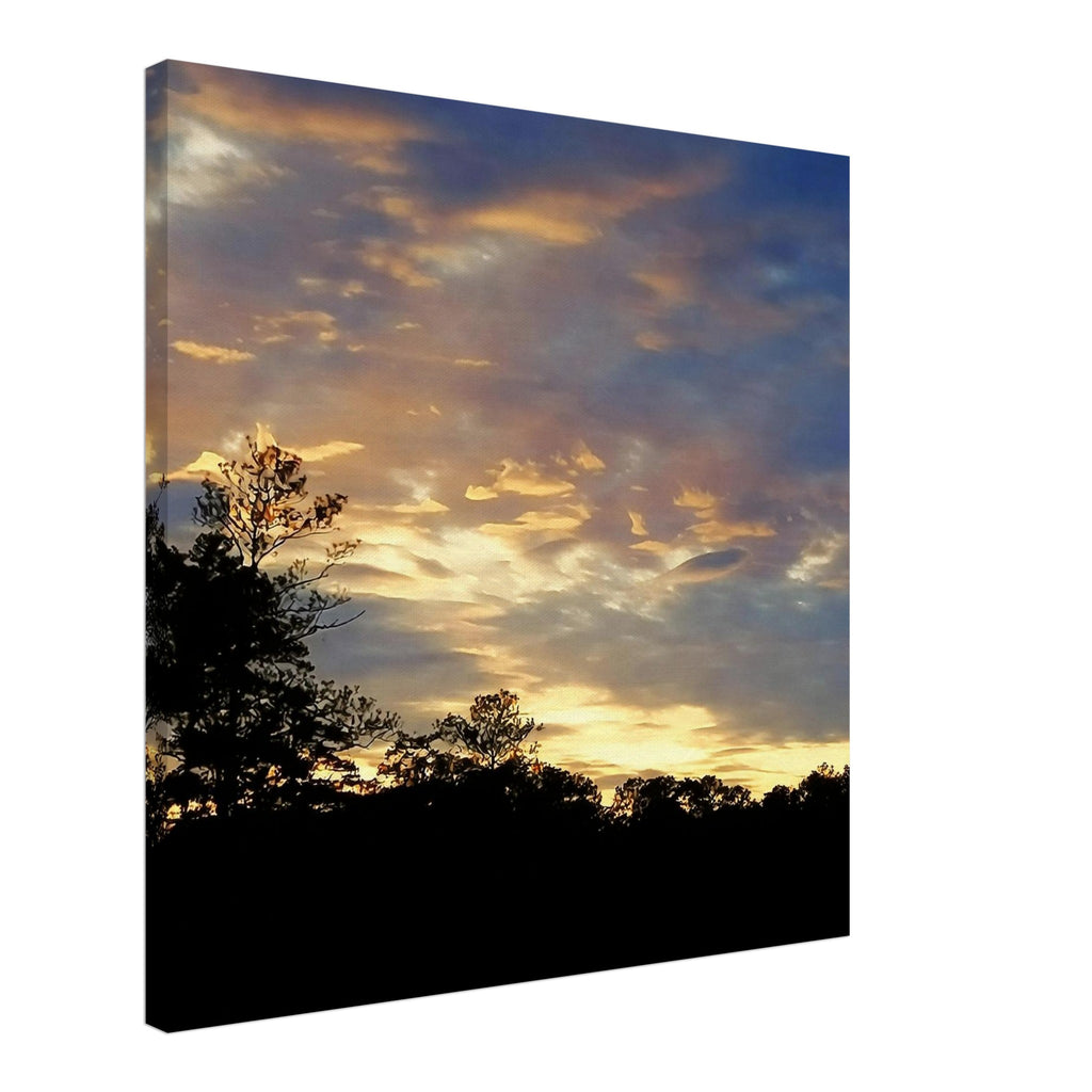 e50d69b3-cd5b-41de-9bb5-0bcf7e407e15