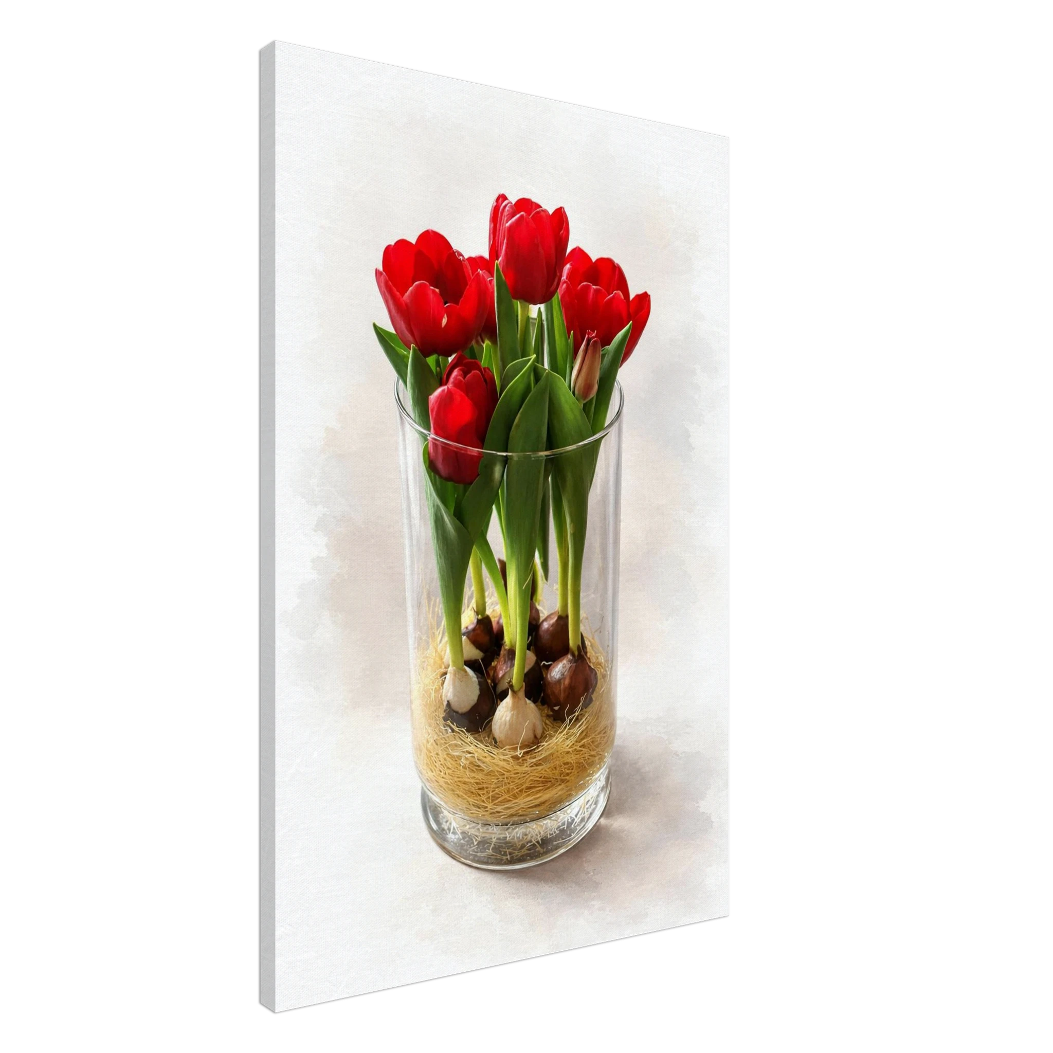 e6b820ae-9427-441f-ac55-0aaa05f85c3e