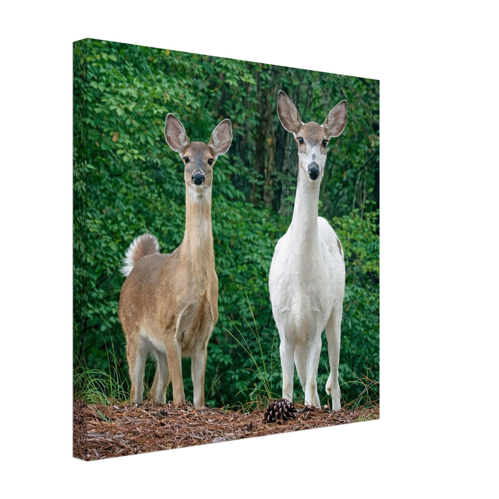 ea546fba-2830-4326-a3c0-1793cafba7b3