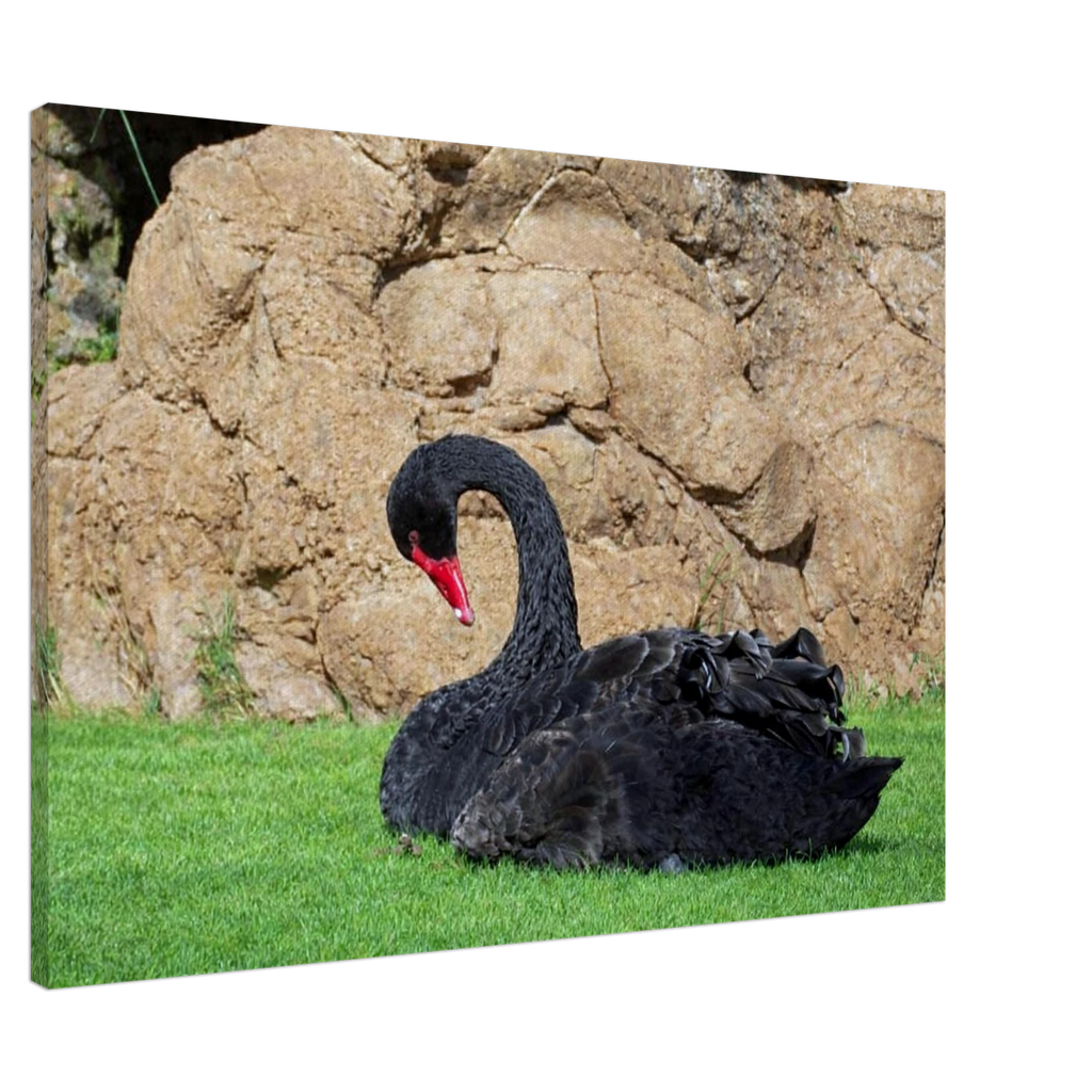 edd5eb0d-c699-47dd-9b26-1d8e0b5cde71