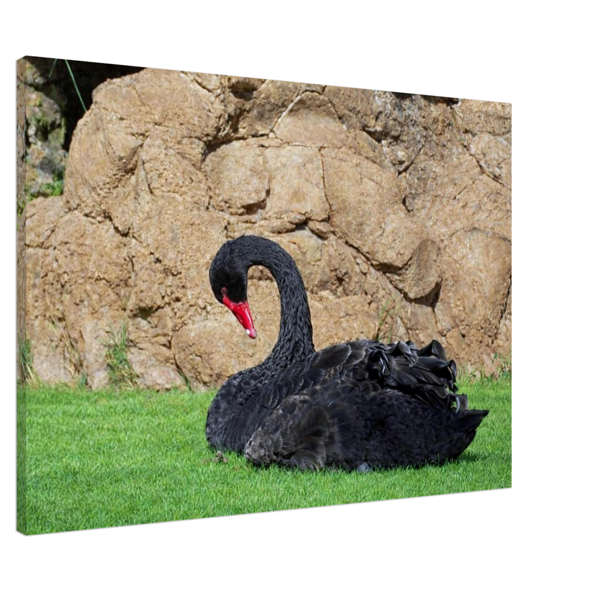 edd5eb0d-c699-47dd-9b26-1d8e0b5cde71